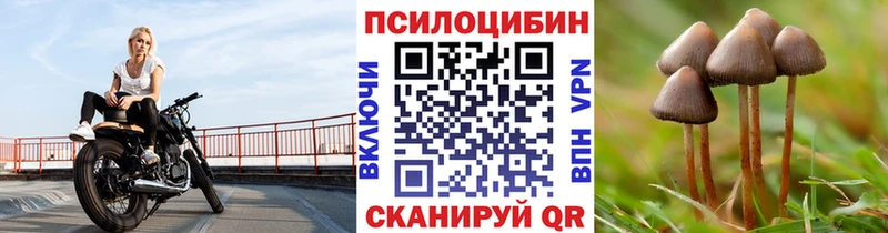 Псилоцибиновые грибы MAGIC MUSHROOMS  Купить закладки  Владивосток 